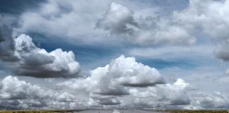 Fototapety 3D odczarowane! To wnętrzarski hit 2016