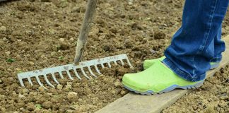 Jesienne przygotowanie ogrodu do zimy