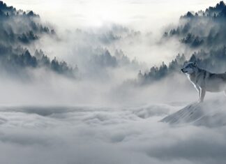 Czy spuszczać wodę z basenu na zimę? Czy spuszczać wodę z basenu na zimę?