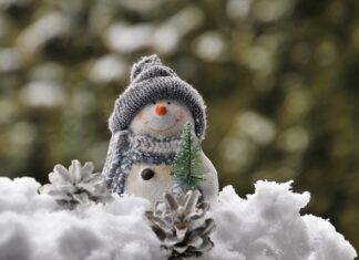 Jak ozdobić szklany klosz? Jak ozdobić szklany klosz?