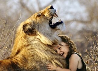 Jaka jest najlepsza taśma do firan? Jaka jest najlepsza taśma do firan?