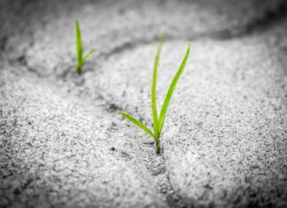 Jaka jest trwałość paneli winylowych? Jaka jest trwałość paneli winylowych?