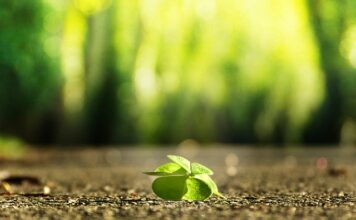 Jak zrobić własny nawilżacz powietrza? Jak zrobić własny nawilżacz powietrza?