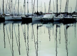 W co pakować kwiaty? W co pakować kwiaty?