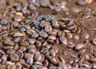 Czy Fusy z kawy są dobre dla roślin?