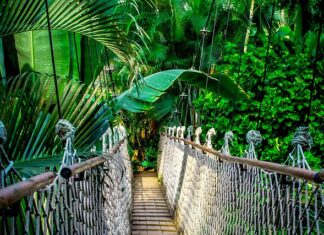 Ile kosztuje kurs na barmana?