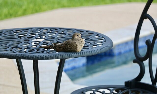 Jak dbać o wodę w basenie ogrodowym forum? Jak dbać o wodę w basenie ogrodowym forum?