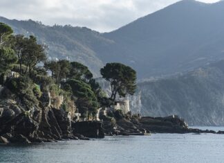 Ile kosztuje jedno skrzydło okna?