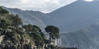 Ile kosztuje godzina grania?