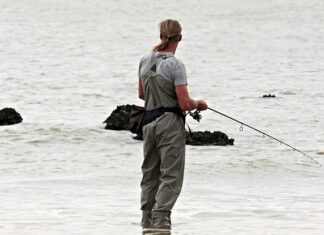 Ile kosztuje zawias Blum? Ile kosztuje zawias Blum?