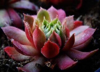 Jakiej grubości filc na ozdoby? Jakiej grubości filc na ozdoby?