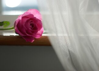 Jak Zaczepić firanki bez karnisza? Jak Zaczepić firanki bez karnisza?