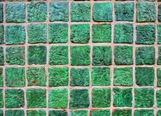 Co zamiast płytek w kuchni? Co zamiast płytek w kuchni?