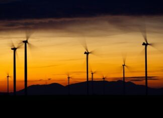 Jakie łopatki do kuchni?