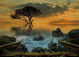 Co po kolei do basenu?