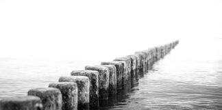 Jaki SSD do Steam Deck?