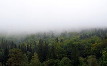 Jak zasłonić okno bez rolet? Jak zasłonić okno bez rolet?