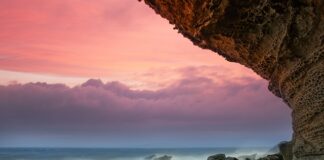 Jak położyć kamyczki w ogrodzie?