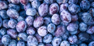 Jak zrobić zasilanie awaryjne domu?