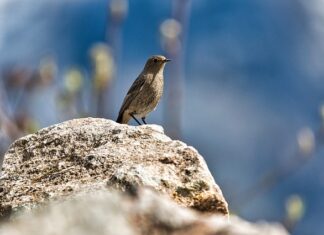 Co na pleśń na roletach? Co na pleśń na roletach?