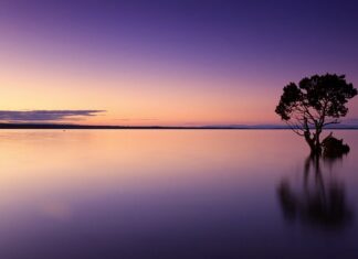 Ile wody zużywa Karcher? Ile wody zużywa Karcher?