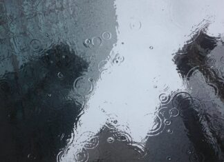 Pompy i zbiorniki na deszczówkę – ekologiczne rozwiązania do Twojego ogrodu Pompy i zbiorniki na deszczówkę