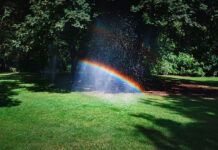 Jaki jest najlepszy nawóz do sadzenia nowej trawy? Jaki jest najlepszy nawóz do sadzenia nowej trawy