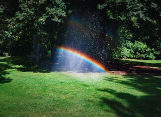Jaki jest najlepszy nawóz do sadzenia nowej trawy